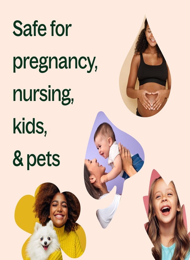 Plant Therapy Egyptian Geranium Essential Oil 100% Pure, Undiluted, Natural Aromatherapy, Therapeutic Grade 5 mL (1/6 oz) - Image 5